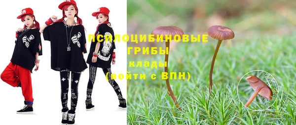 альфа пвп Армянск