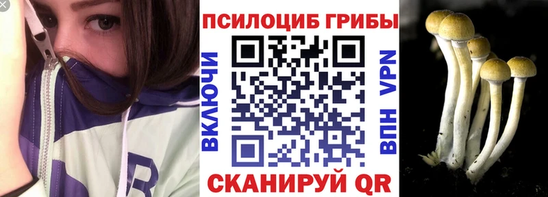 Псилоцибиновые грибы Psilocybe KRAKEN ссылки Приморск